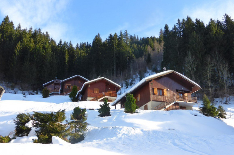 _clients_227327001_photos_69g_5520662