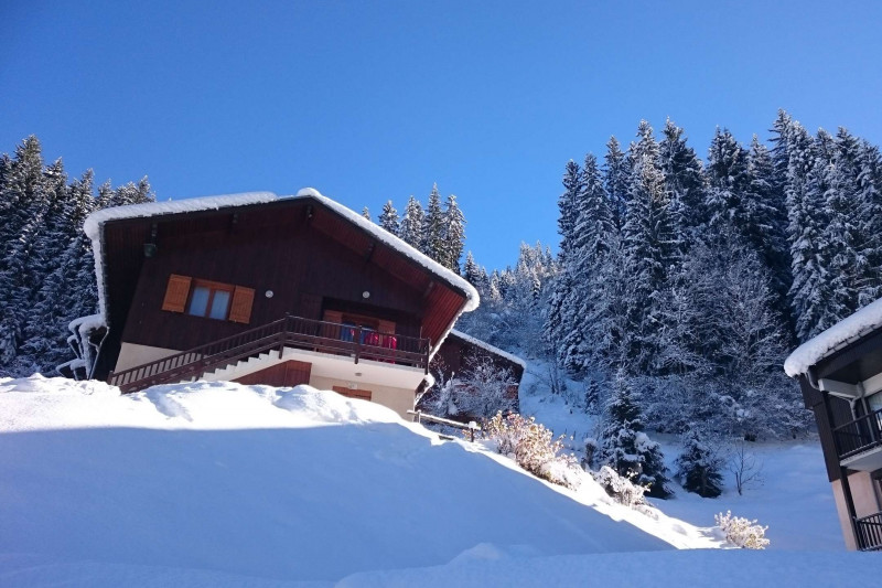 _clients_227327001_photos_69h_5216913 _clients_227327001_photos_69h_5216913