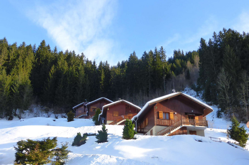 _clients_227327001_photos_71j_4930841 _clients_227327001_photos_71j_4930841