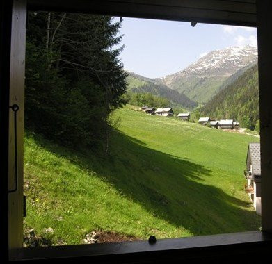 _clients_227327001_photos_72i_5014704 _clients_227327001_photos_72i_5014704