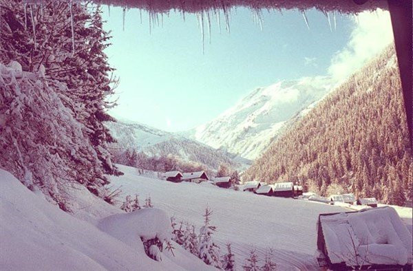 _clients_227327001_photos_72l_4827632 _clients_227327001_photos_72l_4827632