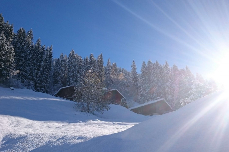 _clients_227327001_photos_75n_4669674 _clients_227327001_photos_75n_4669674