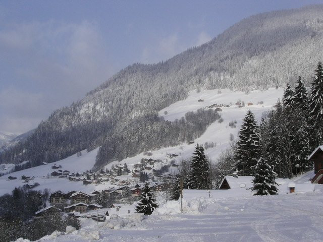 _clients_227327001_photos_79l_4989019 _clients_227327001_photos_79l_4989019