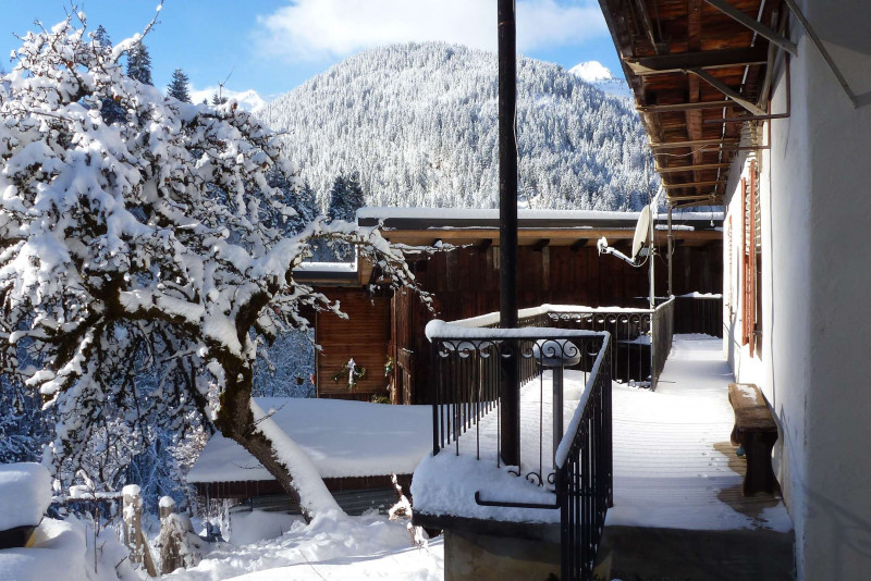 _clients_227327001_photos_88a_4911595