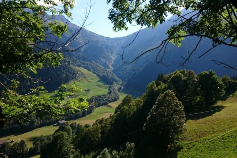 _clients_227327001_photos_89m_5351441 _clients_227327001_photos_89m_5351441