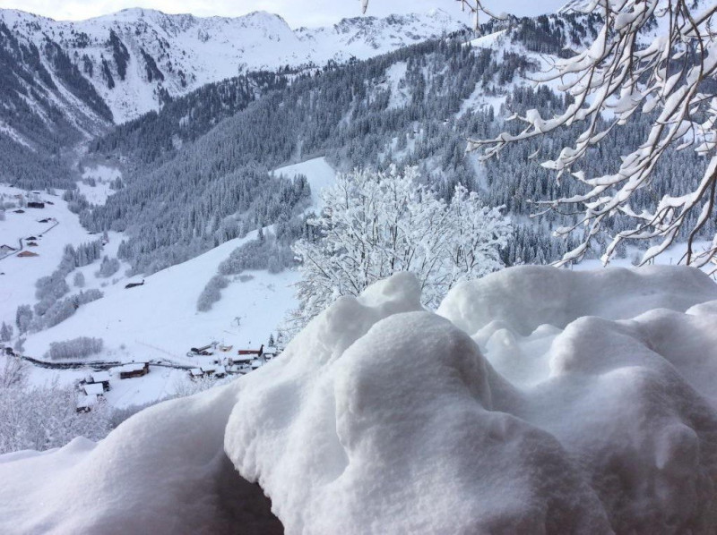 _clients_227327001_photos_89p_4745526 _clients_227327001_photos_89p_4745526