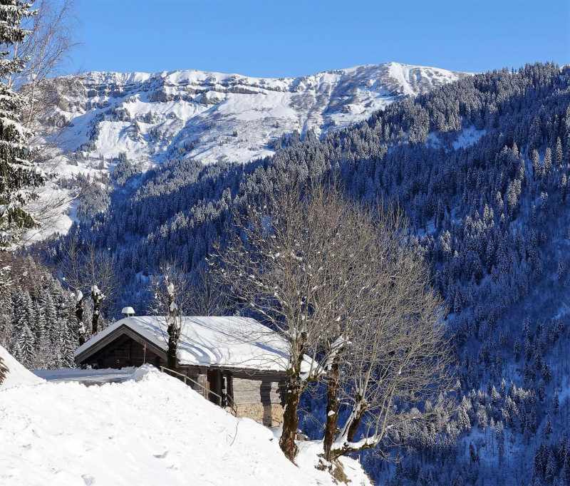 _clients_227327001_photos_89t_5478633