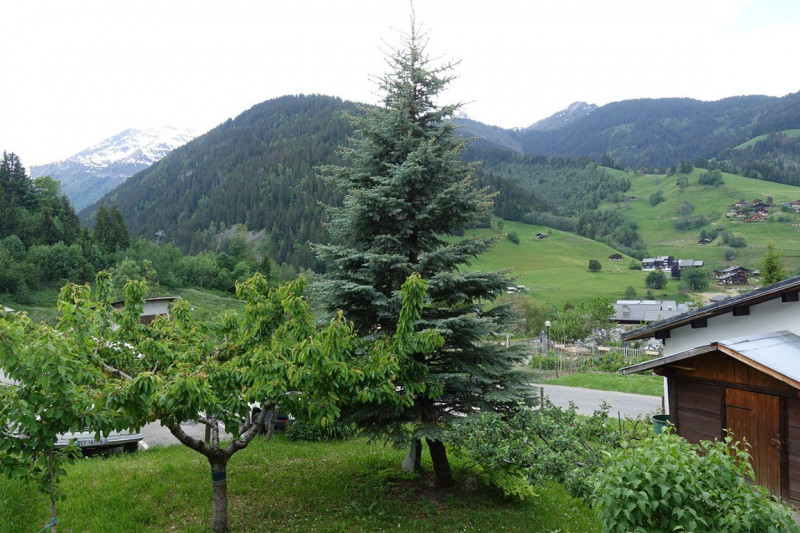 _clients_227327001_photos_9k_4693862 _clients_227327001_photos_9k_4693862