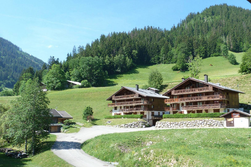 _clients_227327002_photos_311l_6141978 _clients_227327002_photos_311l_6141978