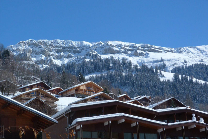 _clients_227327002_photos_364m_6209078 _clients_227327002_photos_364m_6209078