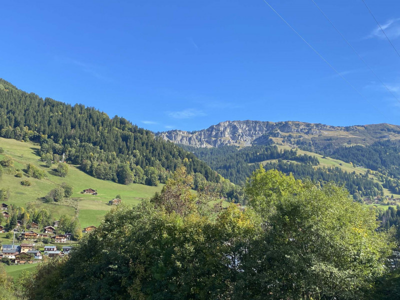 Vue été