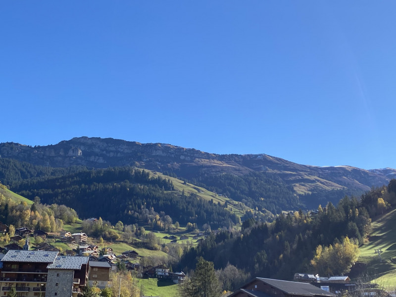 _lv_images__lot_0000000057_10_5090610