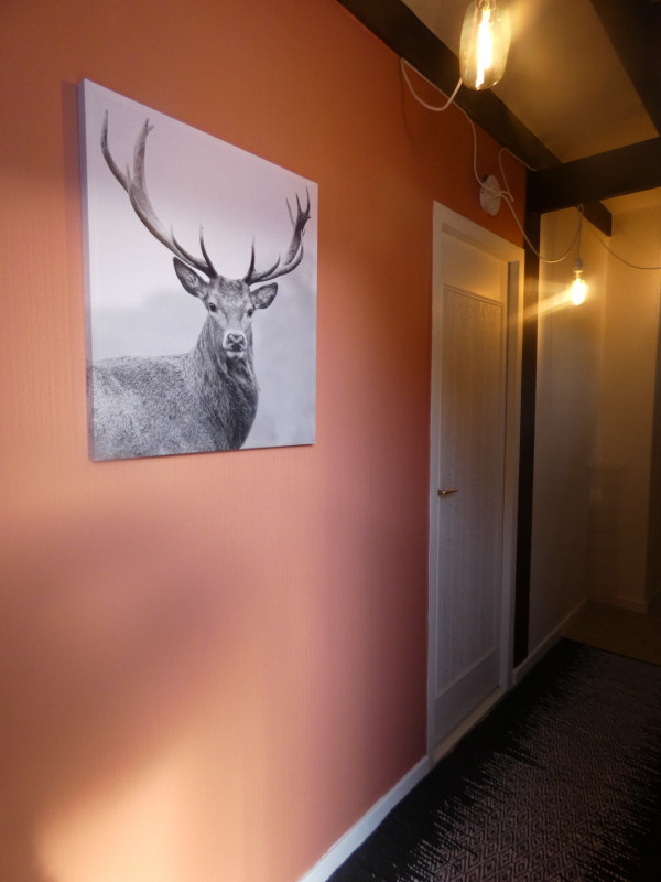 _lv_images__lot_0000000092_11_4824404 _lv_images__lot_0000000092_11_4824404