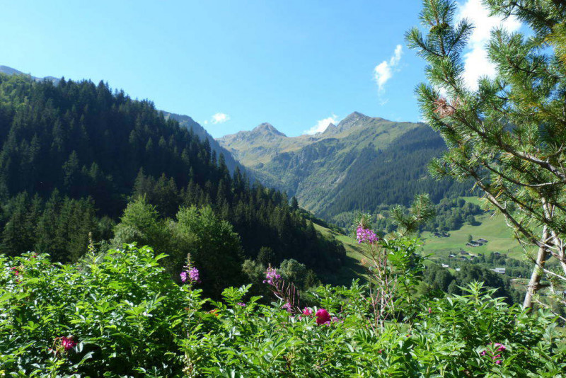 _lv_images__lot_0000000102_08_5109699