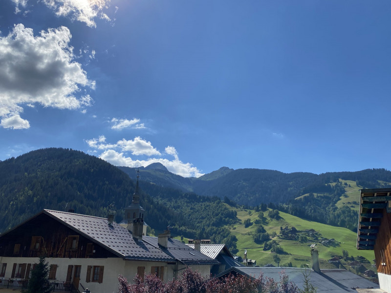 _lv_images__lot_0000000234_09_5006316 _lv_images__lot_0000000234_09_5006316