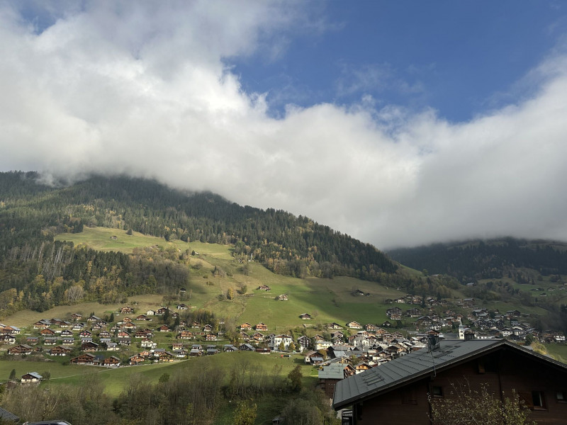 _lv_images__lot_0000000252_11_5169724 _lv_images__lot_0000000252_11_5169724