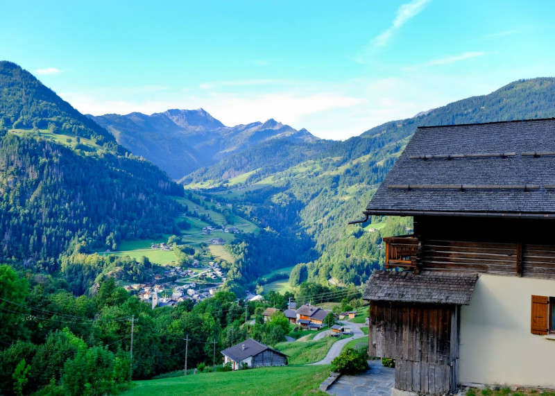 curtillets-paloma-striby4-v1-5152157 curtillets-paloma-striby4-v1-5152157