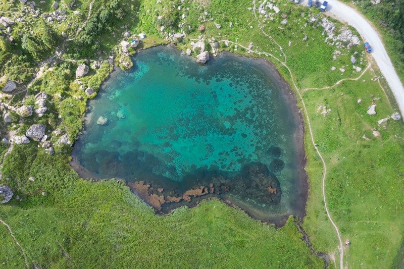 drone-e-te-2024-palomastriby2-5390108