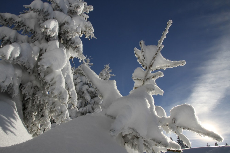 ing-chornais-redim-141113