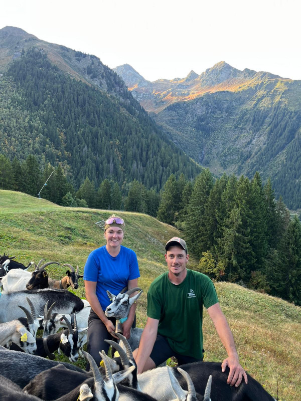 la-ferme-de-m-seguin2-4700446 la-ferme-de-m-seguin2-4700446