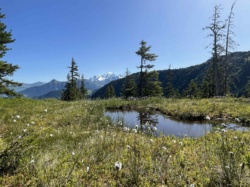 lacs-du-grand-mont-3839916