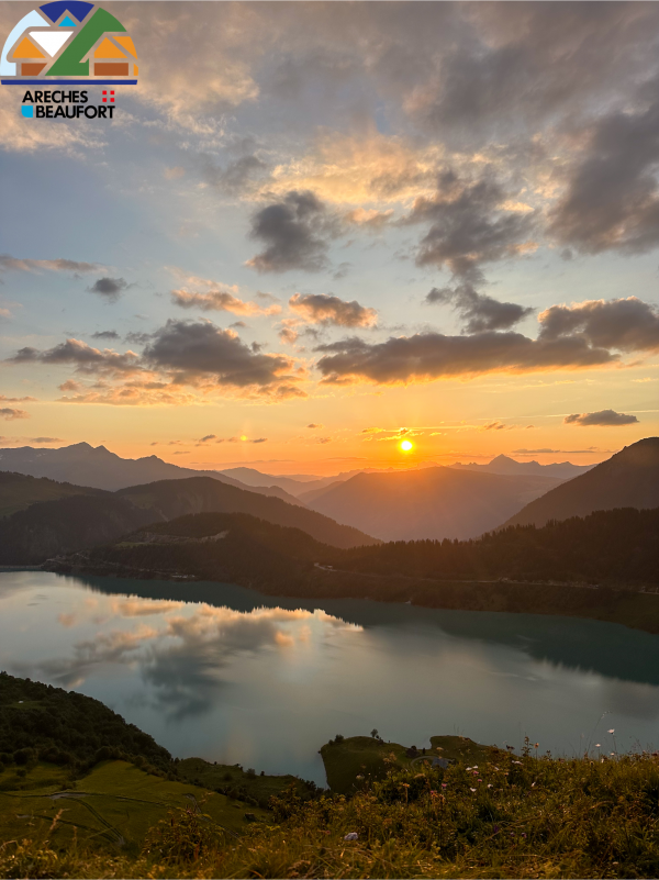 photos-avec-logo-pour-bon-plan-5390112