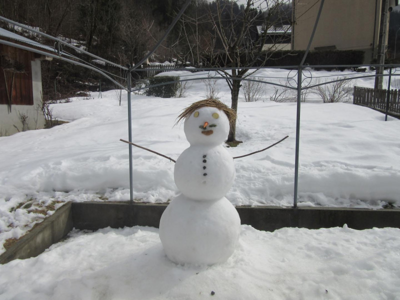 Photo 26