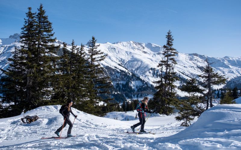 ski-de-rando-paloma-striby-22-6049130